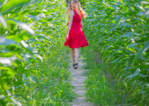 Go your Own Way