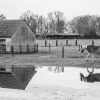 Weerspiegeling na regen