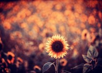 Standing Out